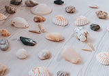 Life and Shells