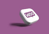 How to get WooCommerce Order Information?