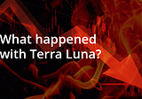What happened with Terra Luna?