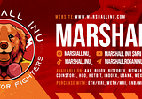 MFC: Marshall Fighting Championship Newsletter #1