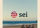 Testnet Guide — Sei