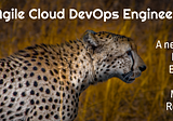 Agile Cloud DevOps Engineer