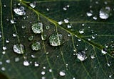 The Power of Nature