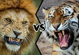 Lion vs Tiger: Who Is Stronger ?