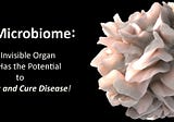 Did you know we all have an invisible organ?