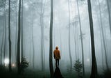 Professionally Lost: The Dark Days of Making a Career Shift