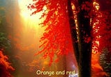 Fall into Orange and Red