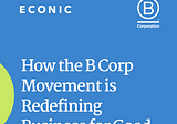 How the B Corp Movement is Redefining Business for Good