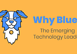 Why Blue? — The Emerging Technology Leader