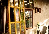 The Stories a Super Typhoon Made