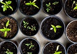 On sustainable content.