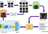 Review — An Efficient Deep Neural Network Based Abnormality Detection and Multi‑Class Breast Tumor…