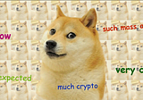 7 Unexpected Things You Can Buy with DOGE