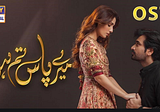 The problem with Meray Pas Tum Ho