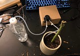 Water Your Plant Using a Raspberry Pi and Python