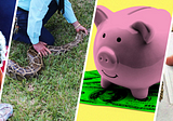 Skinning Florida’s Python Problem, the Pigs of Personal Finance and Justin Bieber, Wife Guy