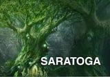 SARATOGA: AN INCREDIBLE PLATFORM THAT HAS THE ZEAL AND POTENTIAL TO BRING RISE GLOBALLY IN THE…