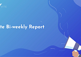 Vite Bi-weekly Report