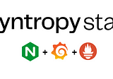 SyntropyStack — UI — Monitoring solution with Grafana, Prometheus, Node_exporter and Nginx — Part 1