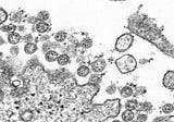 The coronavirus in the air: what we know and what can help