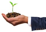 Top 5 Ways to Grow Your Small Web Agency