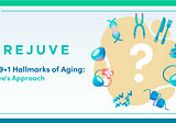 9+1 Hallmarks of Aging: The Rejuve Approach