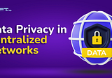 How Data Privacy Works in Centralized Networks