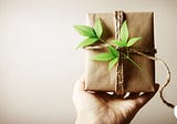 It’s the Season to Give Environment-Friendly Gifts