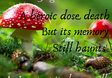 A Heroic Dose Of Mushrooms