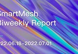 SmartMesh Biweekly Report (2022.06.18–2022.07.01)