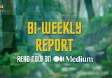JR Studio's Bi-Weekly Report #1