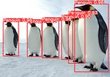 The practical guide for Object Detection with YOLOv5 algorithm
