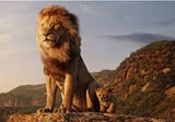 Fall Of Vanraj(King of Gir)