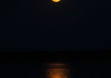 The Panther, the Sea Lion, and the Full Moon Rays