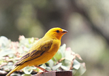 Children. Contemporary canaries in the coal mine?