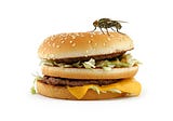 What would happen if I eat my burger after a fly landed on it?