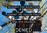 Breaking News: Federal Court Refuses Mountain Valley Pipeline Request to Remove Tree Sitters in…
