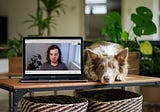 Captions in video calls: better accessibility, but harmful side effects