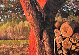 Lopez Island Madrone