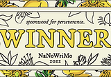 The 2022 NaNoWriMo Diaries: Day Thirty