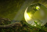 Sorry, Veganism Won’t Save The Planet