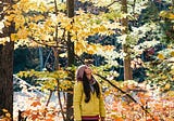 4 Ways to Enjoy Fall Foliage in Boston
