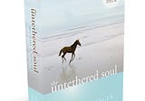 My Top 10 Takeaways From “The Untethered Soul: The Journey Beyond Yourself