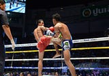 The Art of 8 Limbs: An Introduction to the Art of Muay Thai.