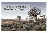 Treasure of the Northern Cape…