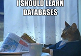 Diving into Databases…
