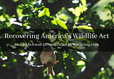 Recovering America’s Wildlife Act | Daniel Schwab Wyoming