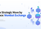 A new strategic move by Binance: Wombat Exchange