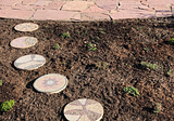 Xeric Garden Mosaic Installation