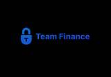 Analysis Review of Team Finance Exploit